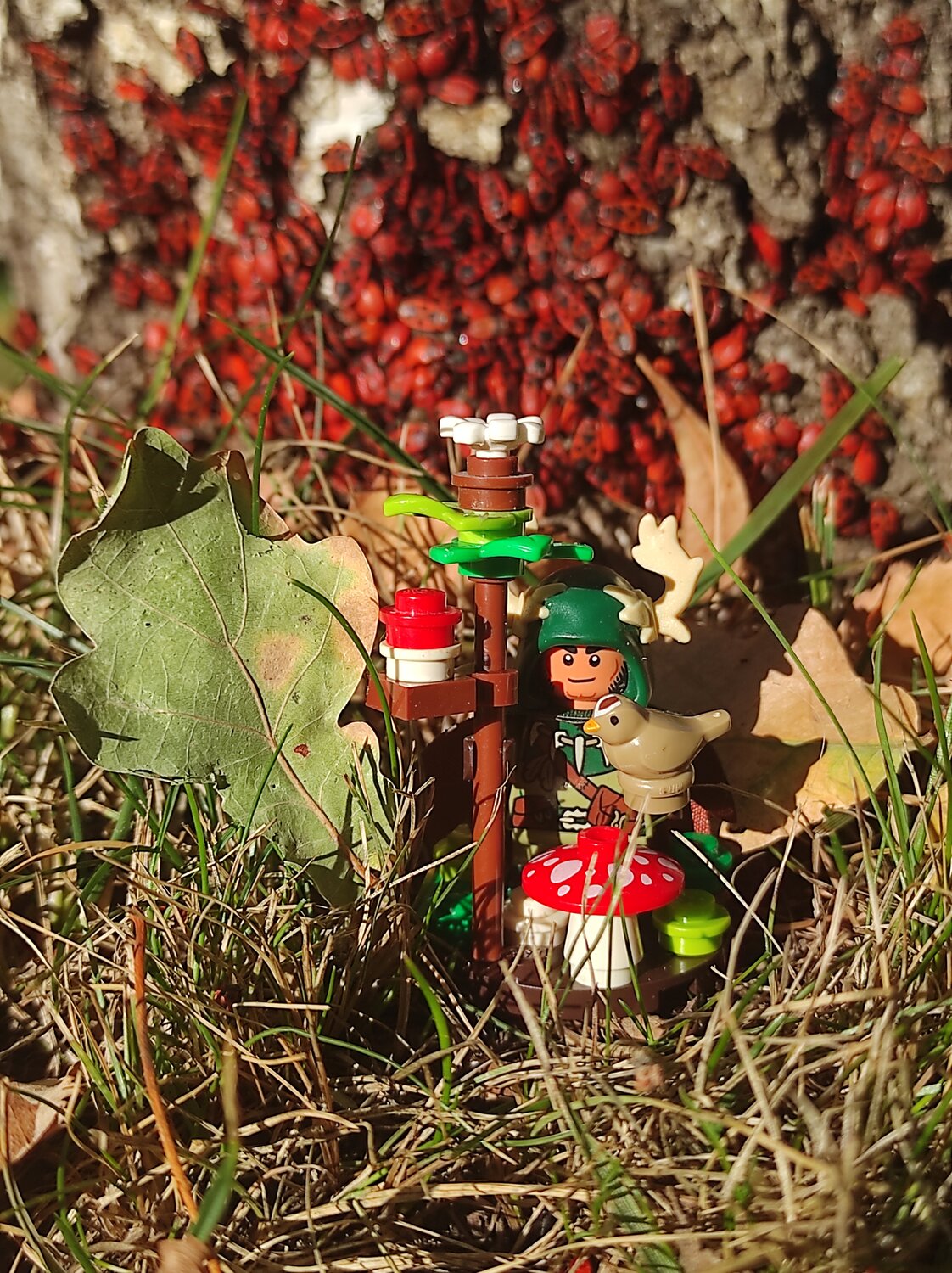 Photo #14150241