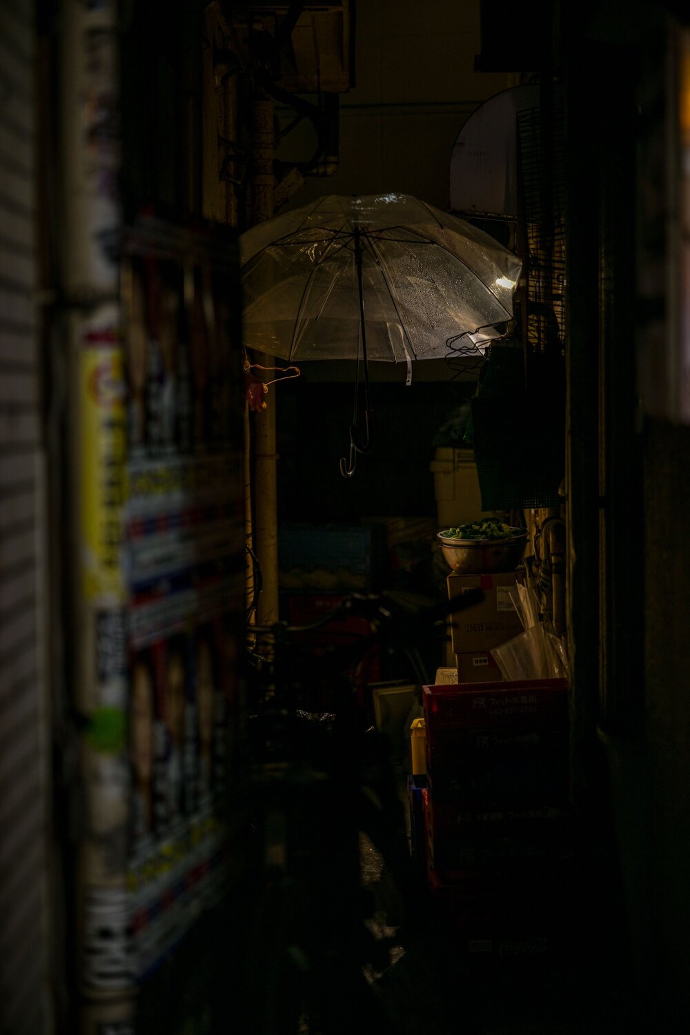 Photo #14150425