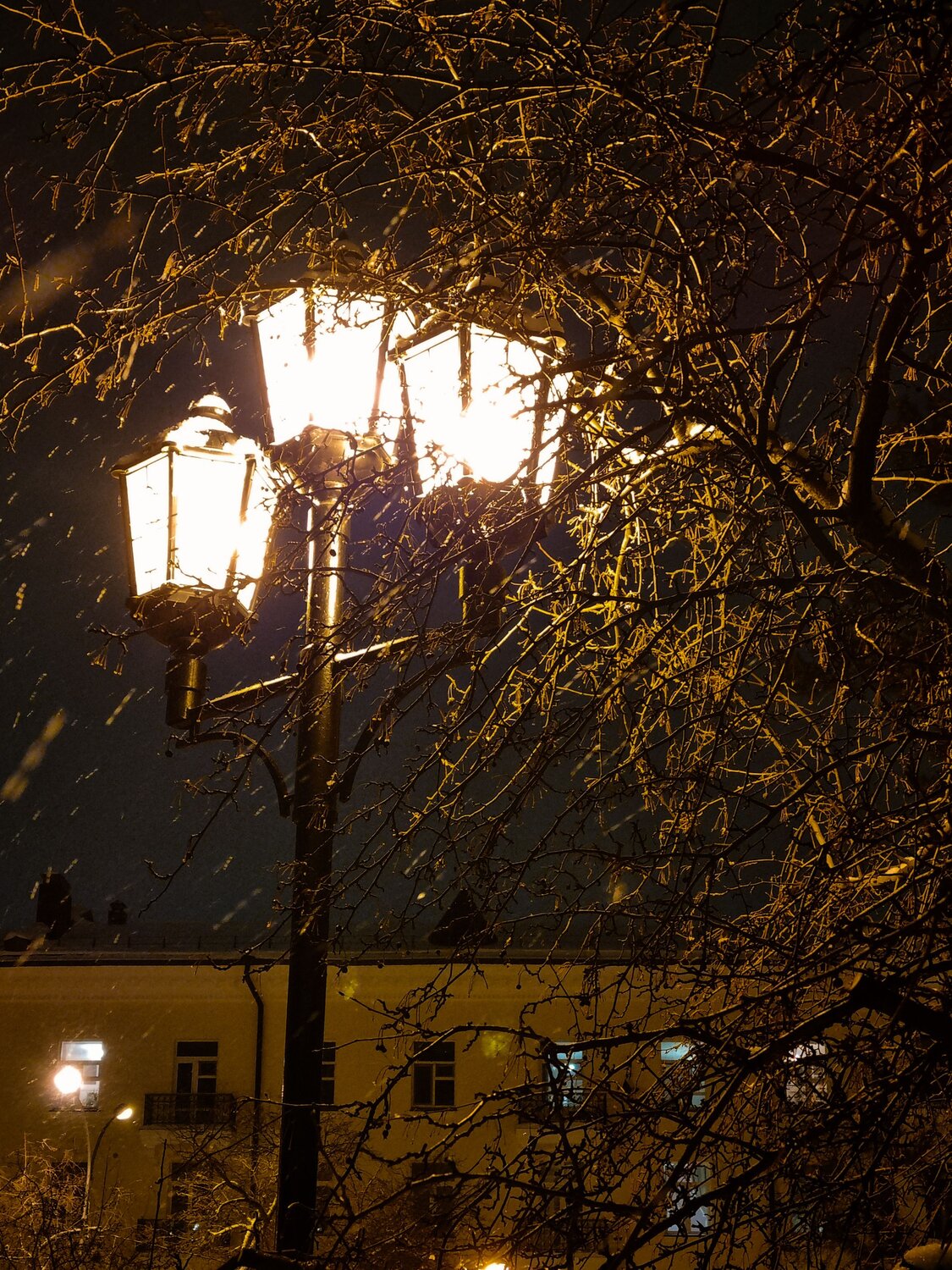 Photo #14150554