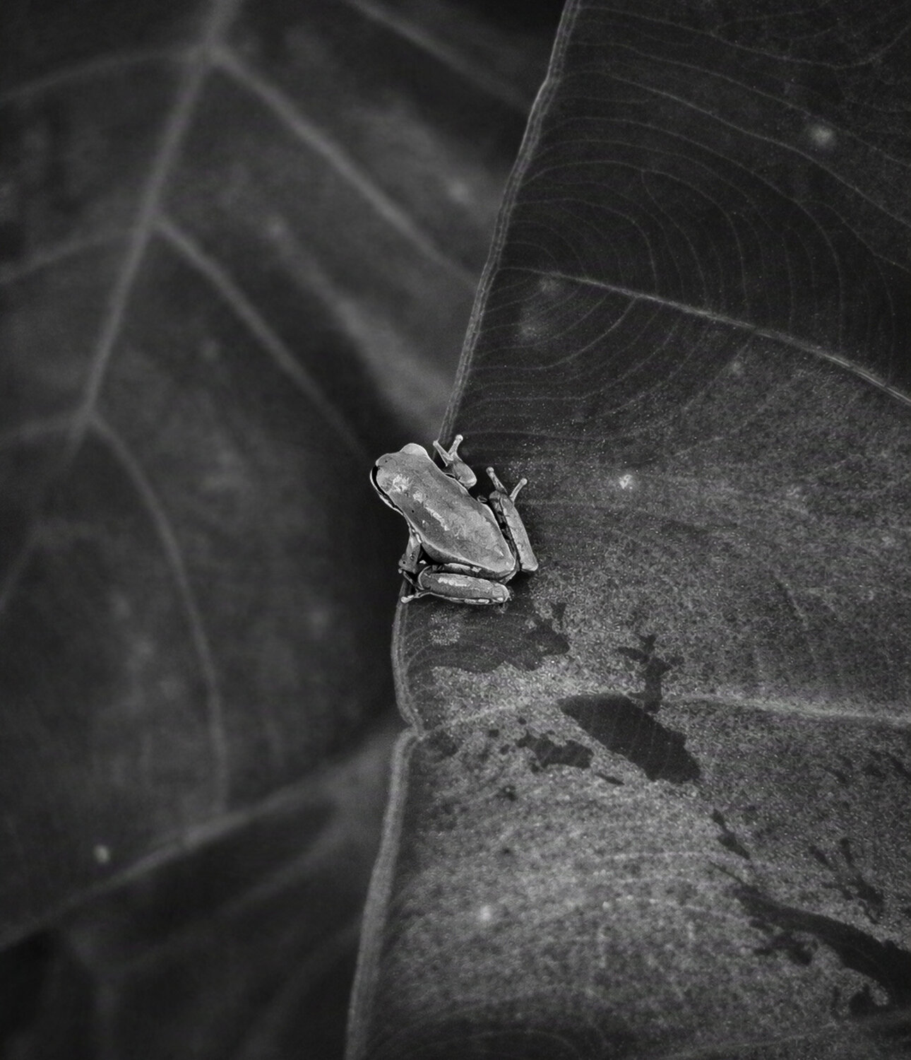 Photo #14150593