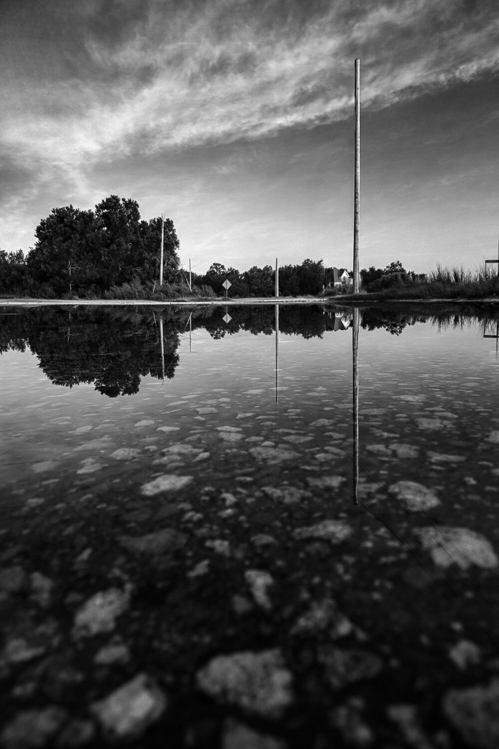 Photo #14150607