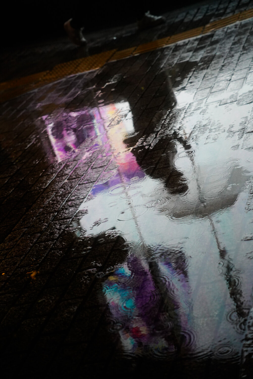 Photo #14150610