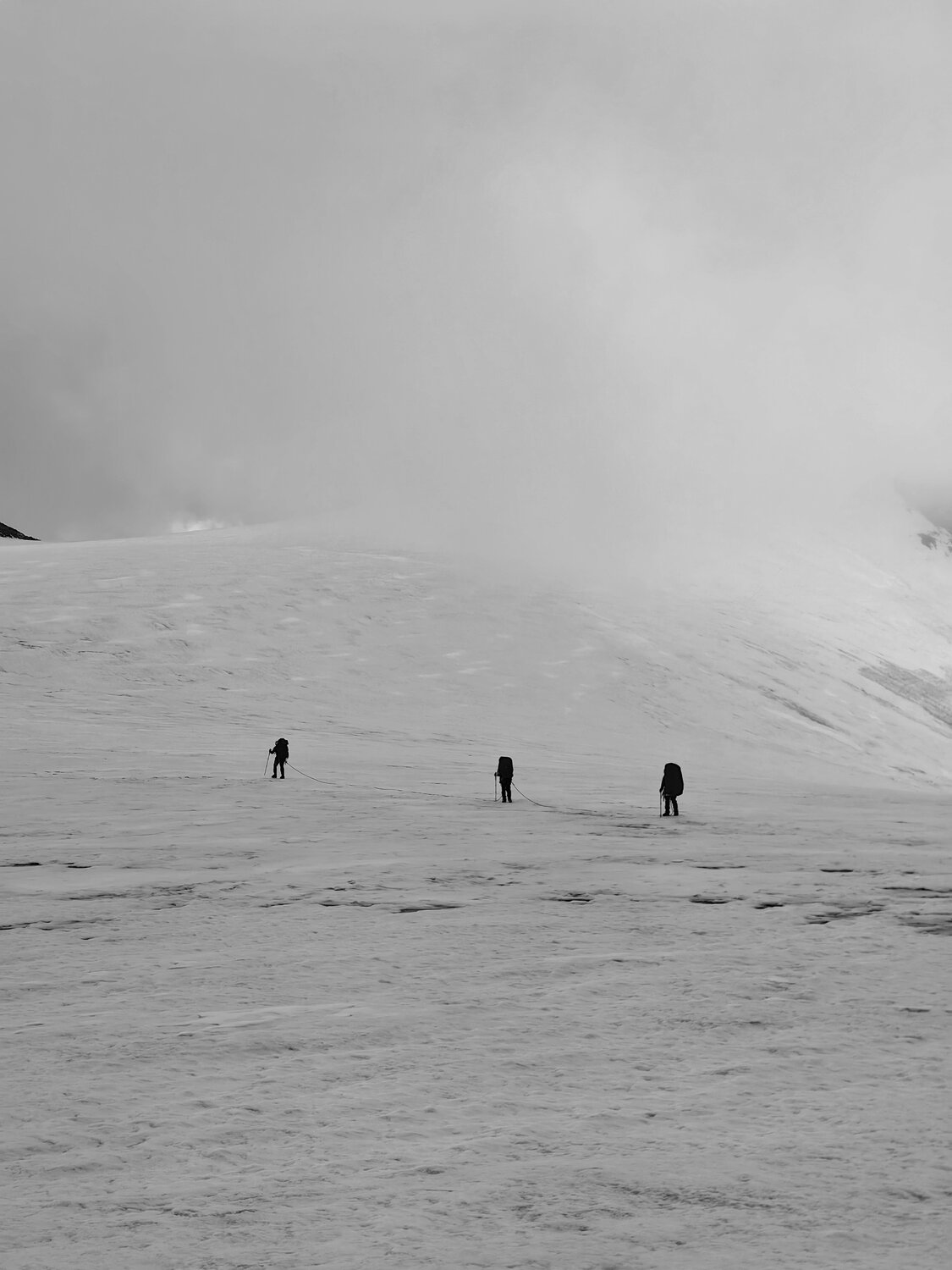 Photo #14150626