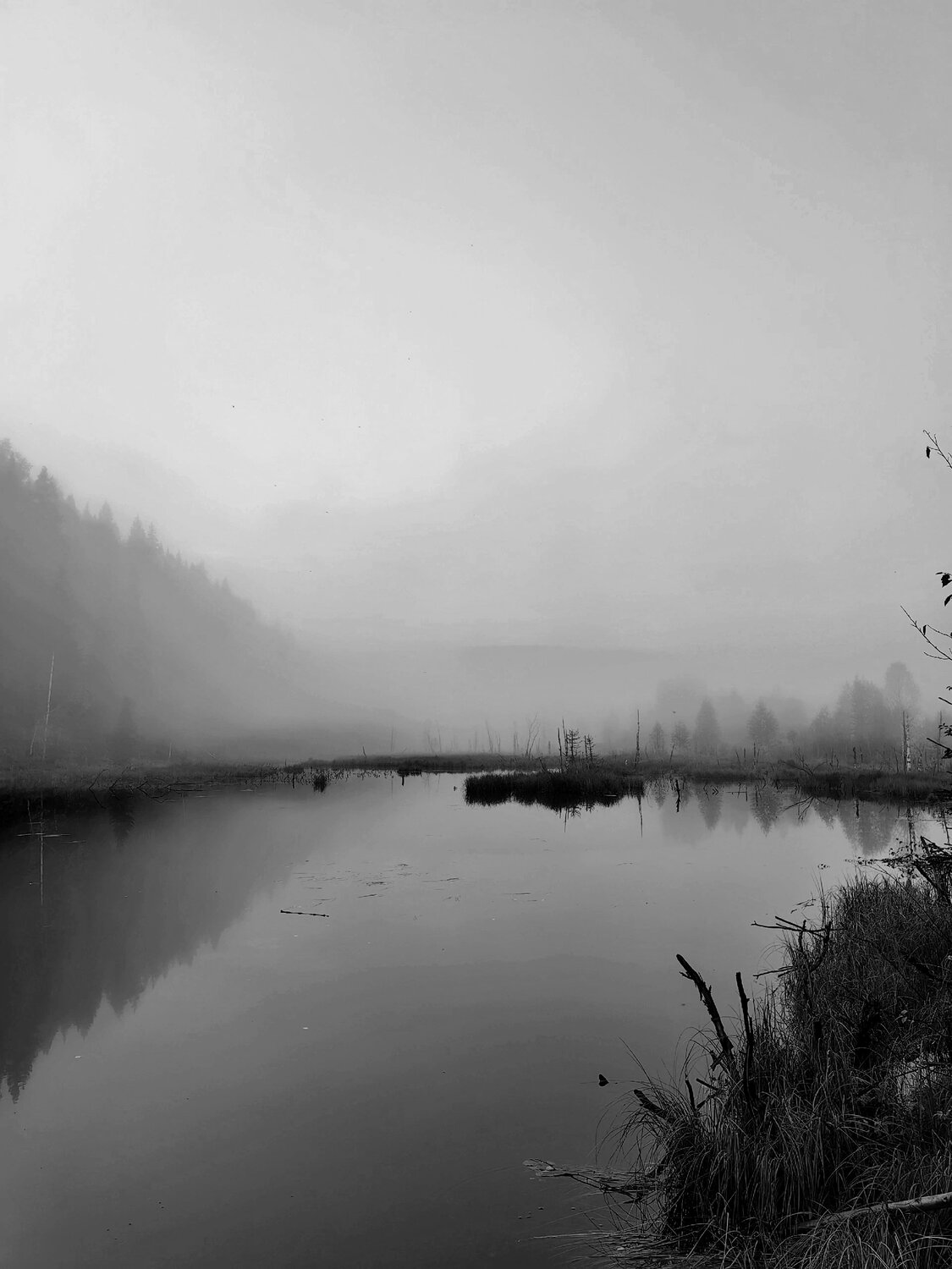 Photo #14150636