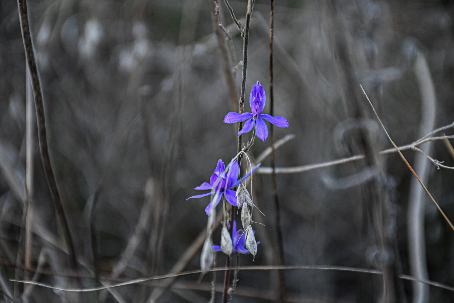 Photo #14150740