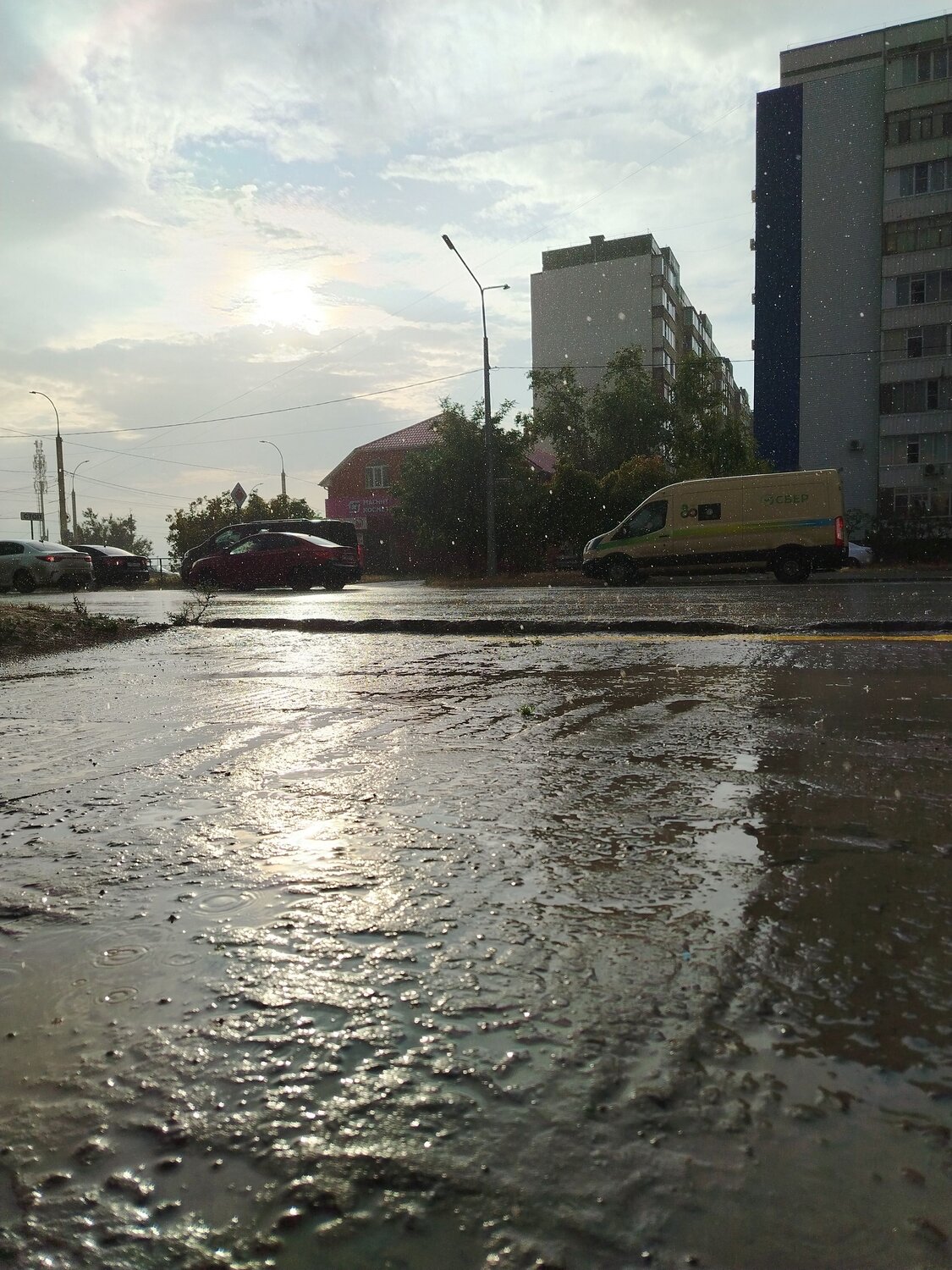Photo #14150835
