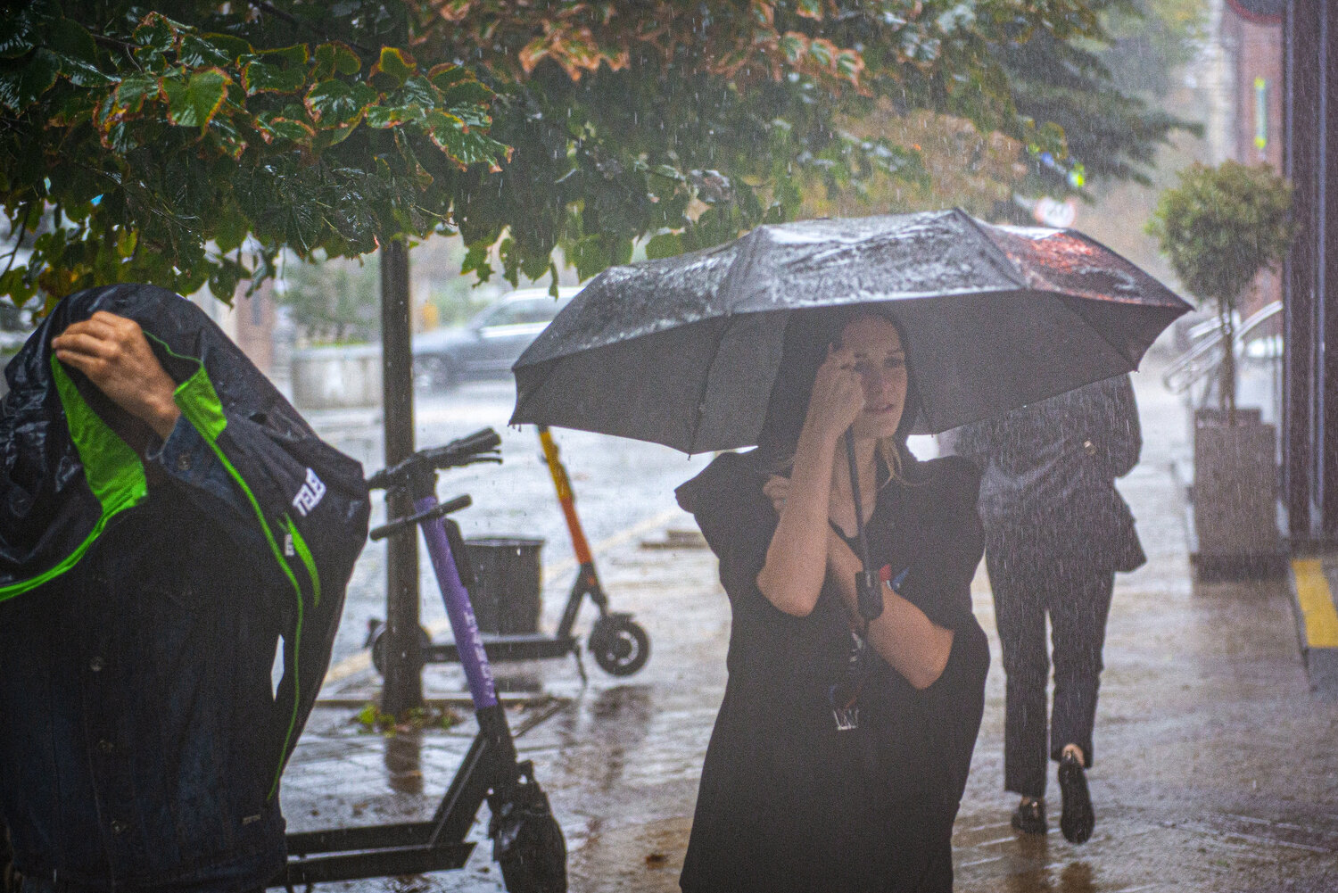 Photo #14150844