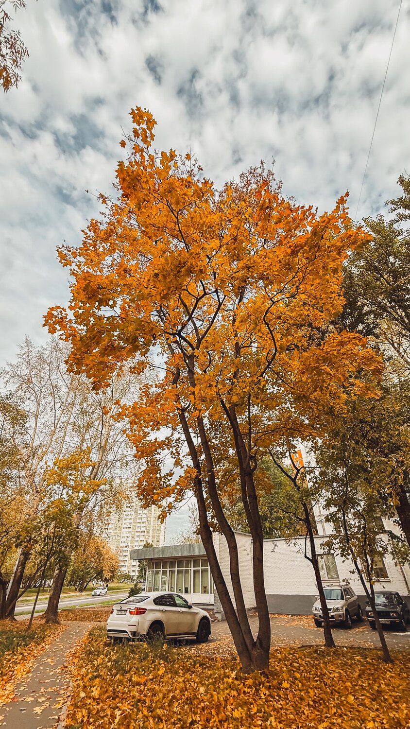 Photo #14150863
