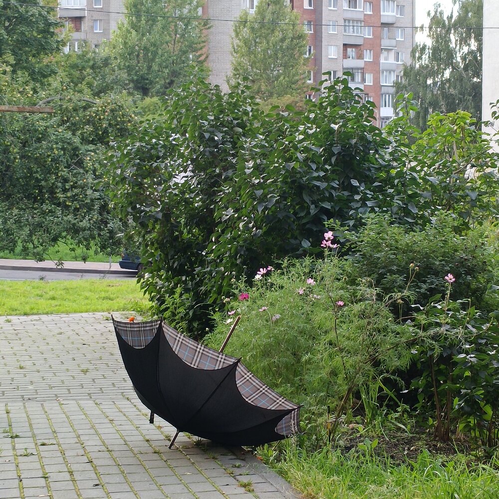Фотография автора Ирина Шведчикова