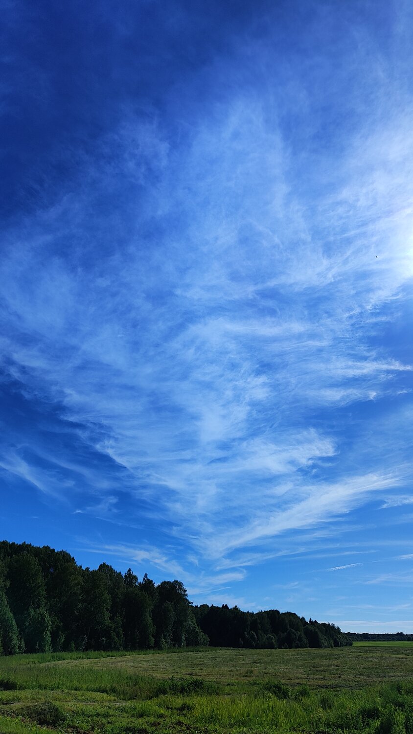 Photo #14151316