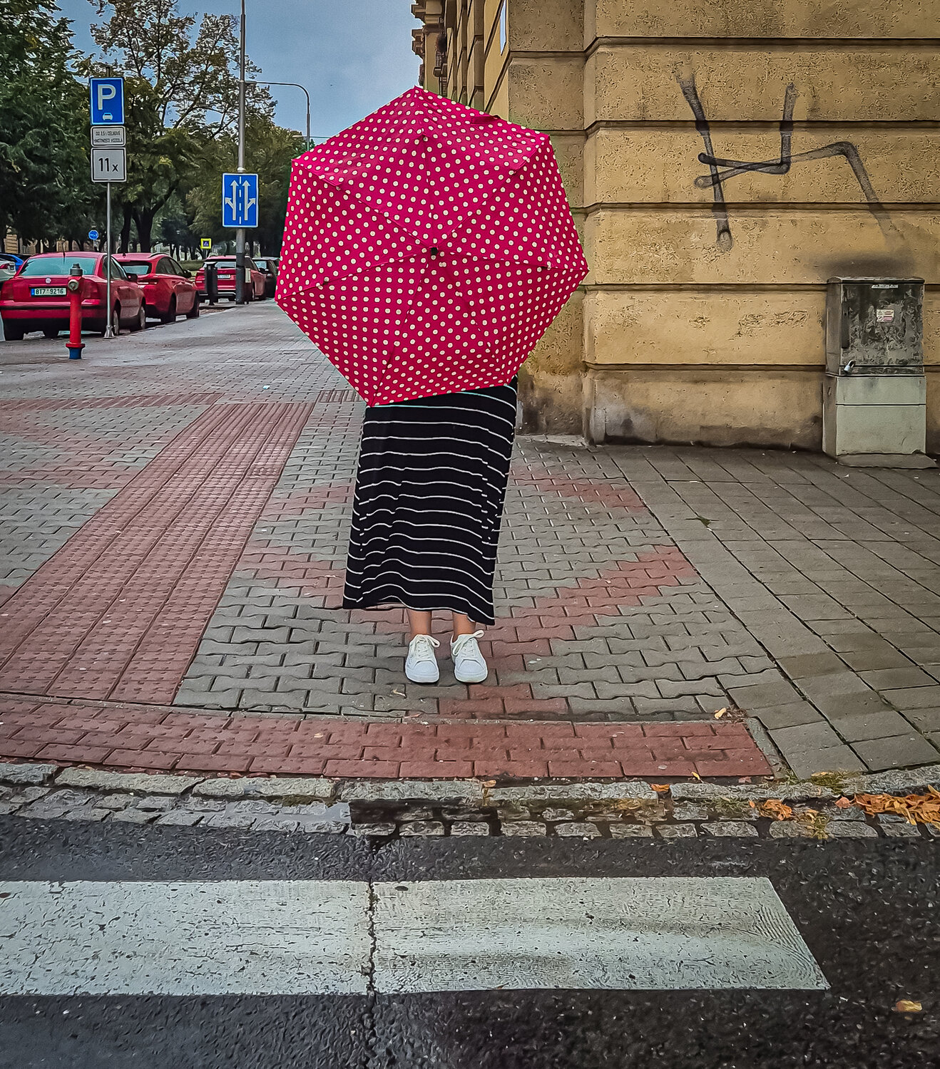 Photo #14151562