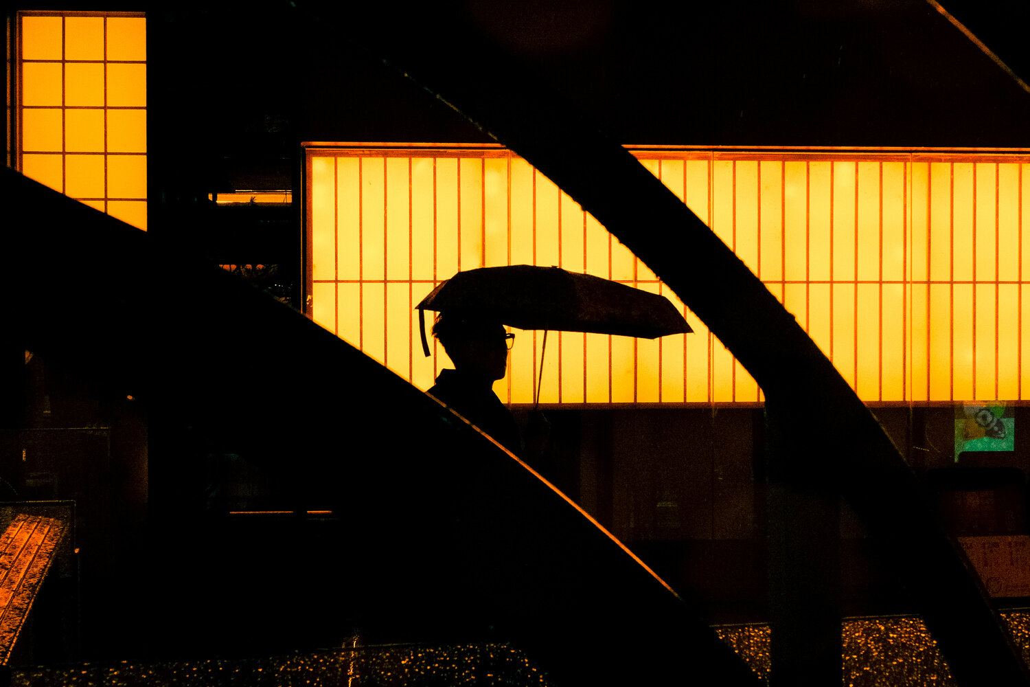 Photo #14151615