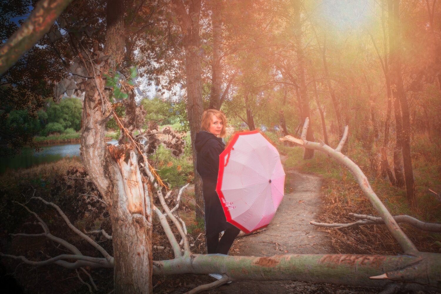 Photo #14151692