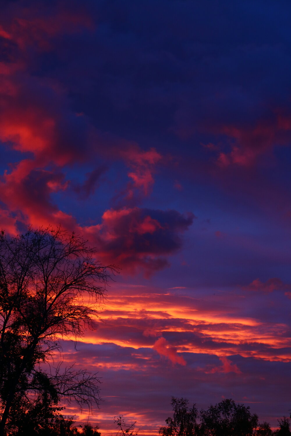 Photo #14151824