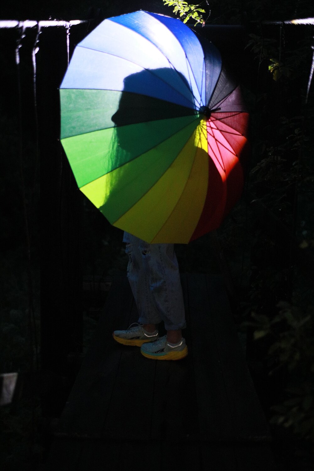 Photo #14151952