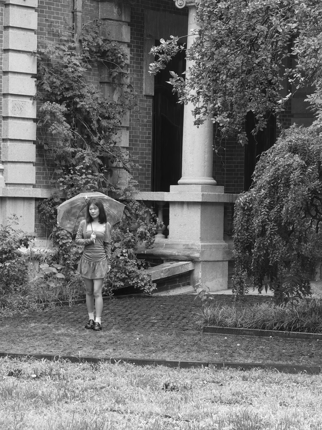 Photo #14151997