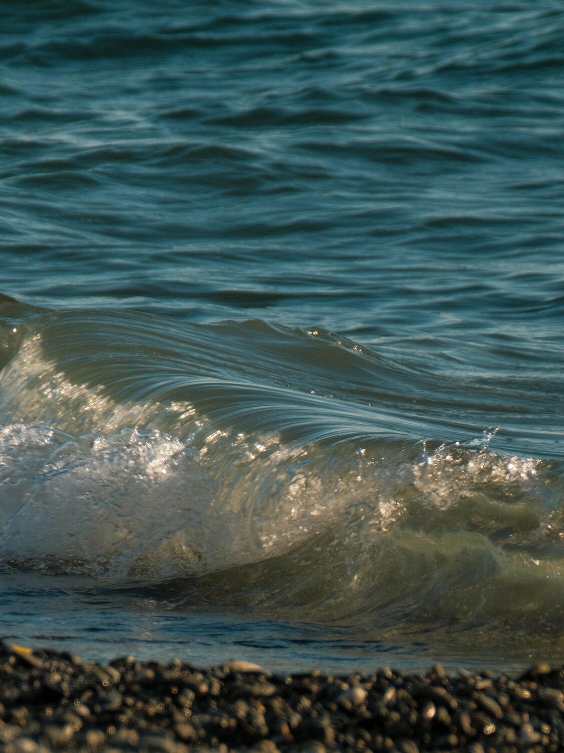 Photo #14152279