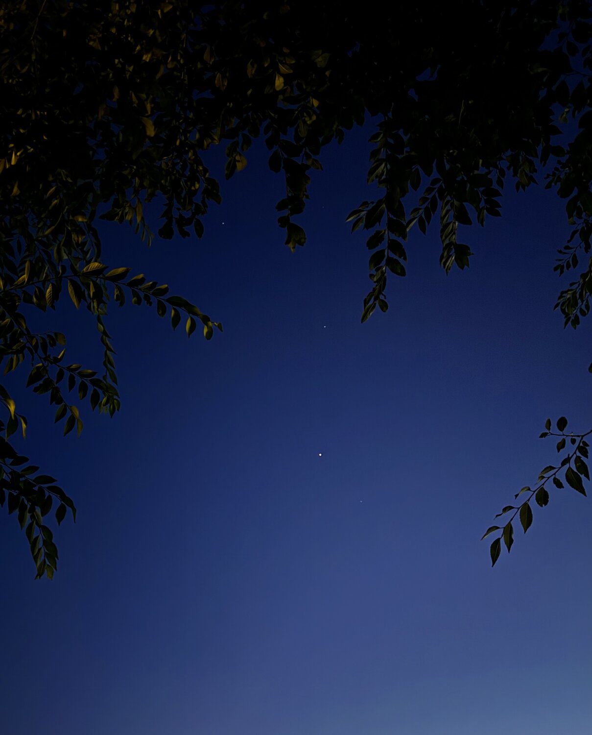 Photo #14152469
