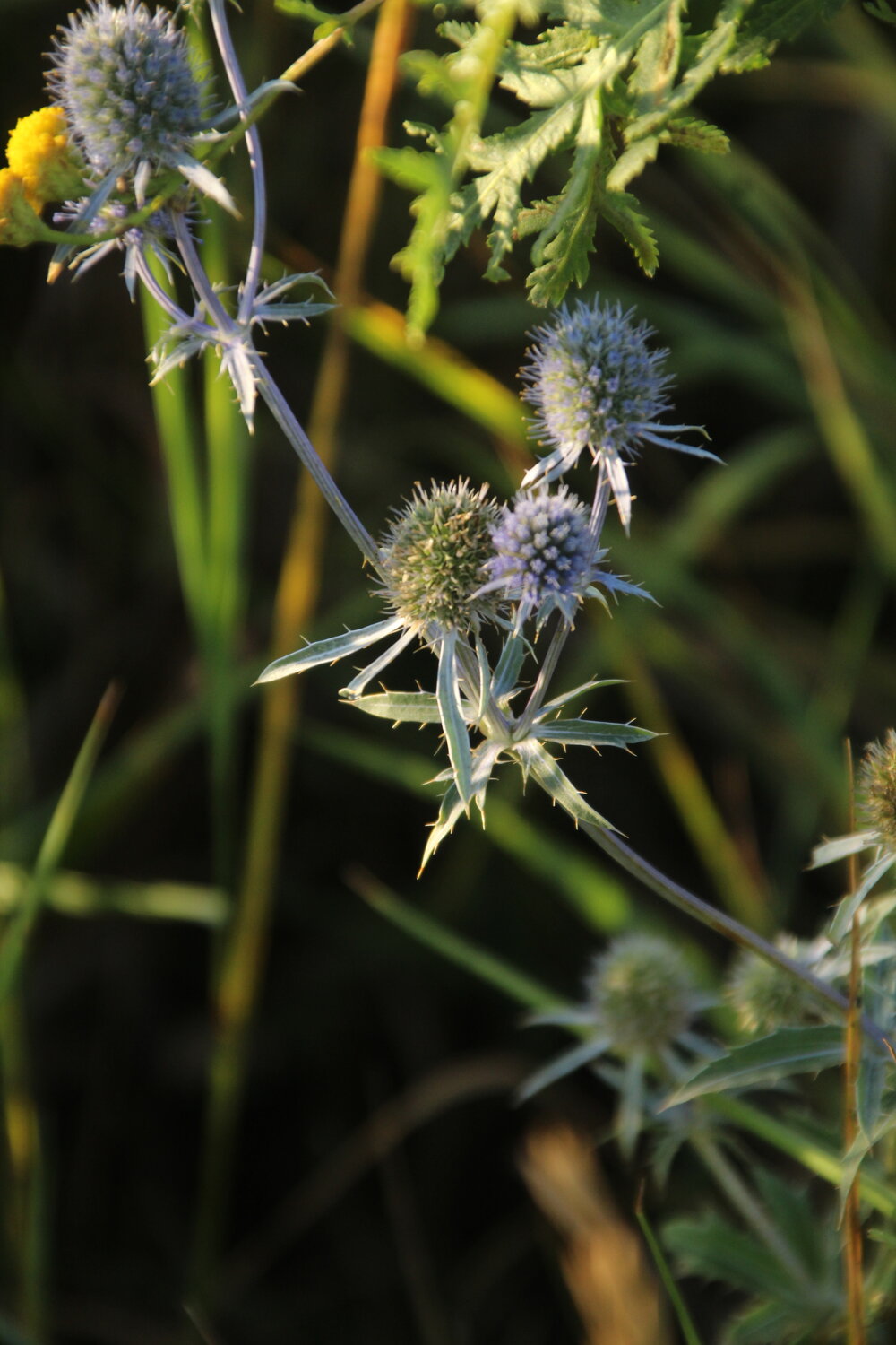 Photo #14152558