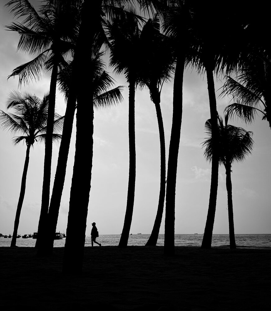 Lines of Silence