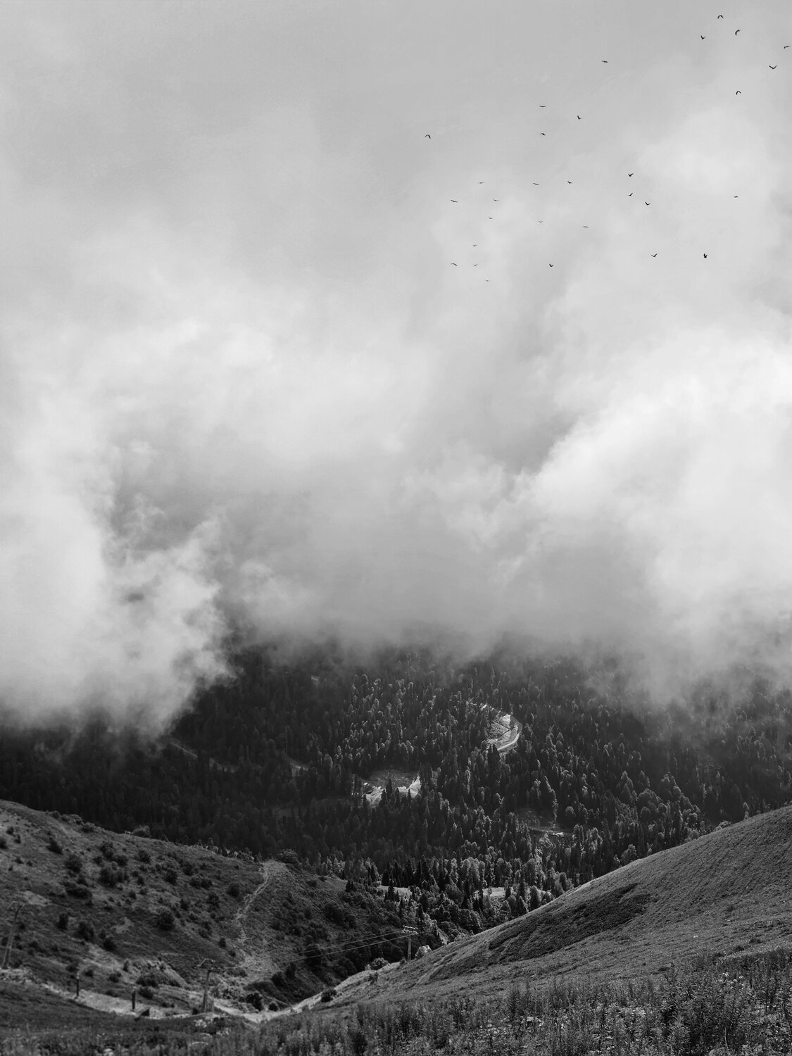 Photo #14152702