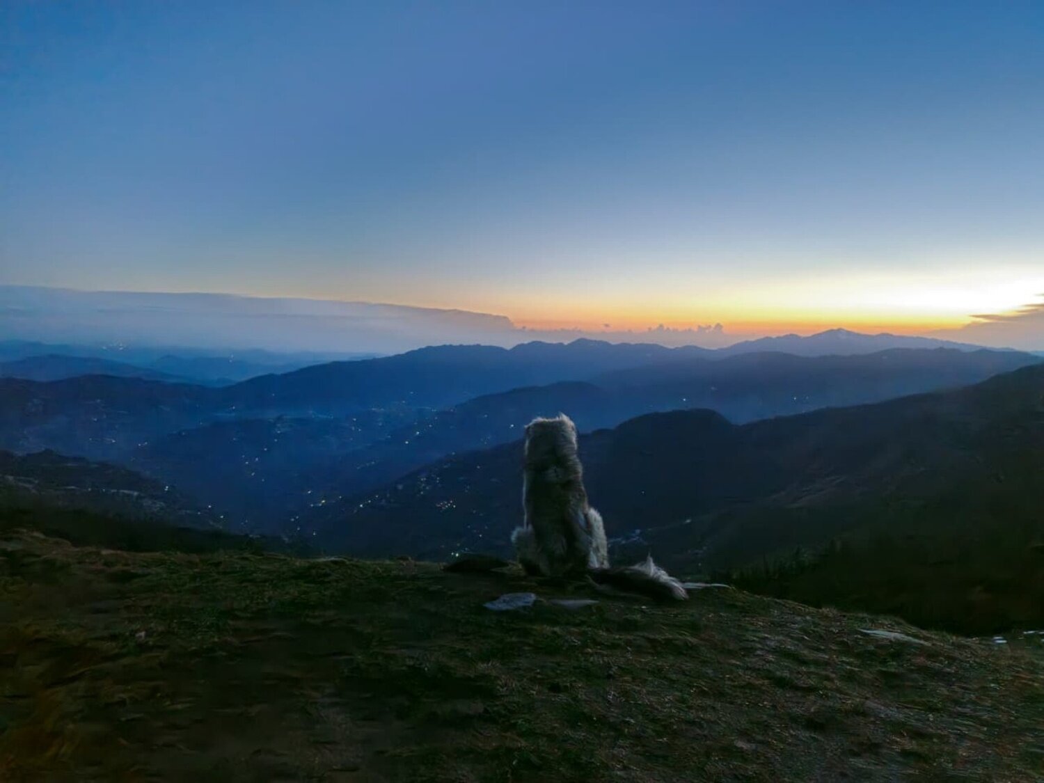 Photo #14152746