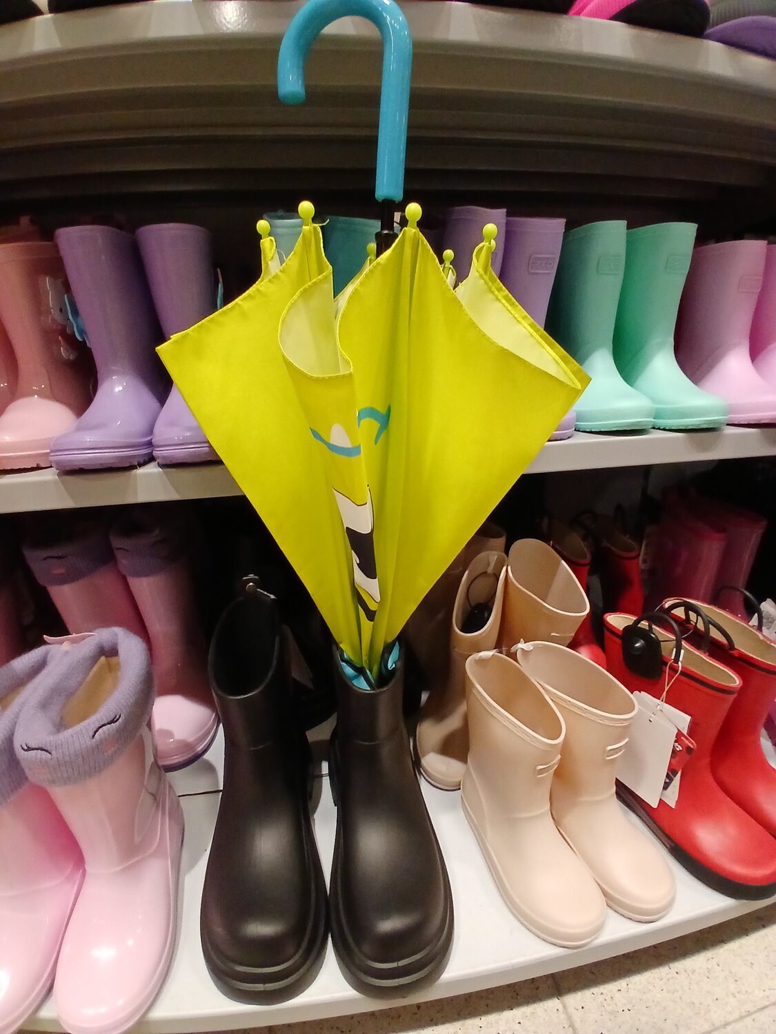 Photo #14152809
