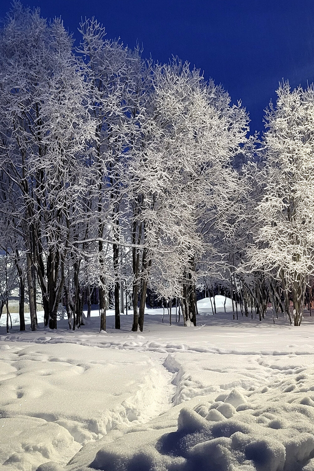 Photo #14153088