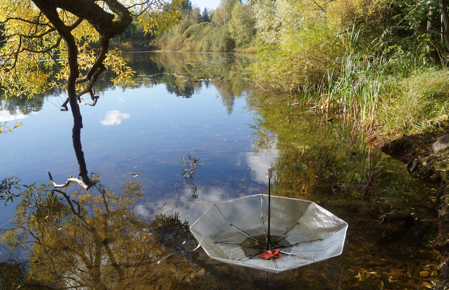 Photo #14153232