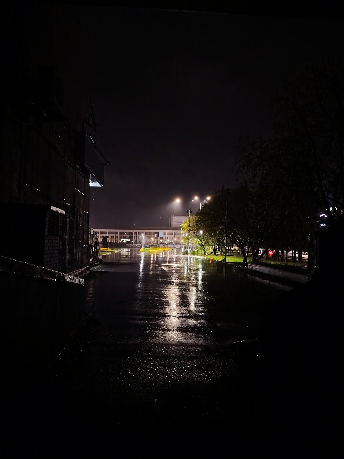 Photo #14153256