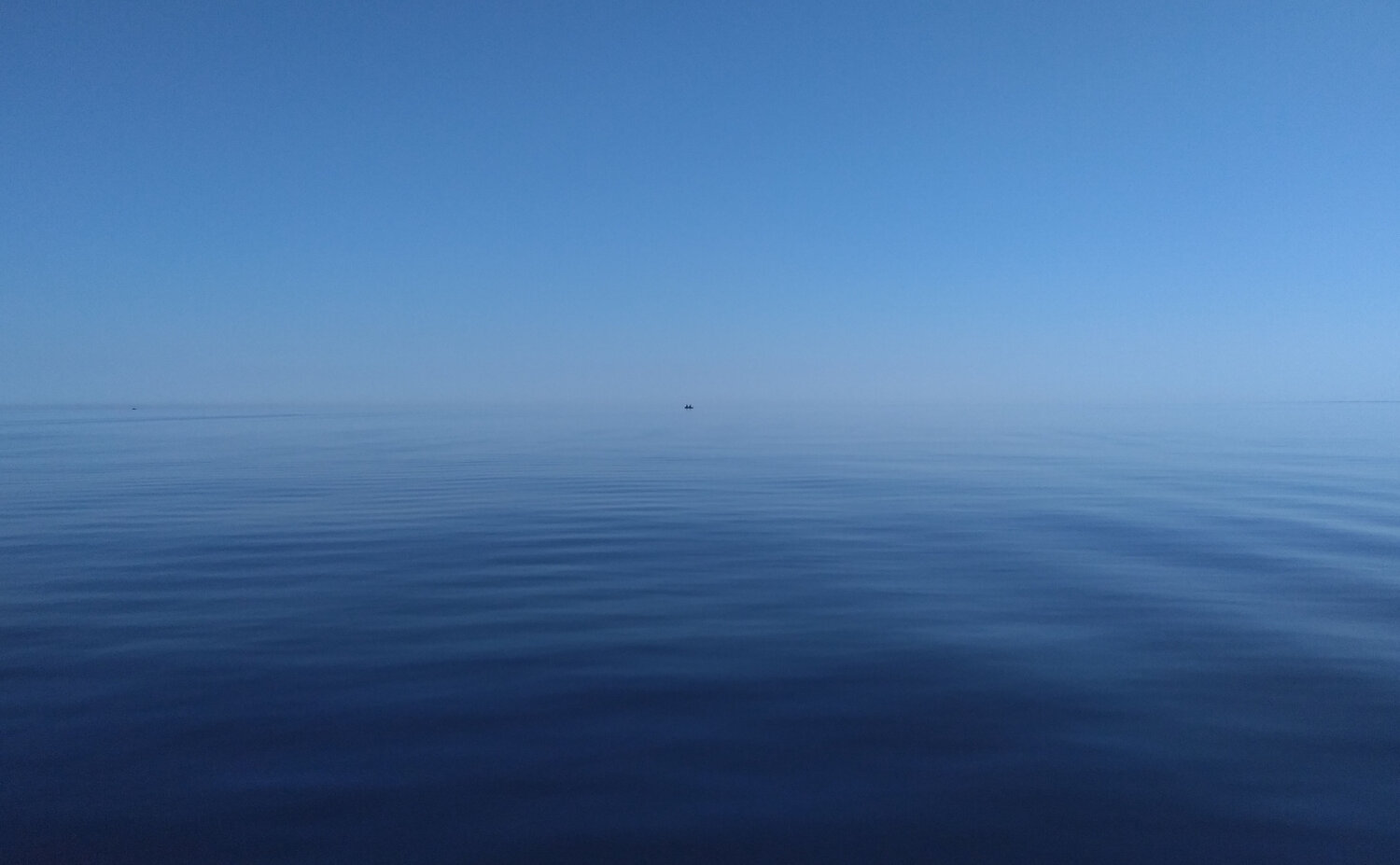 Photo #14153279