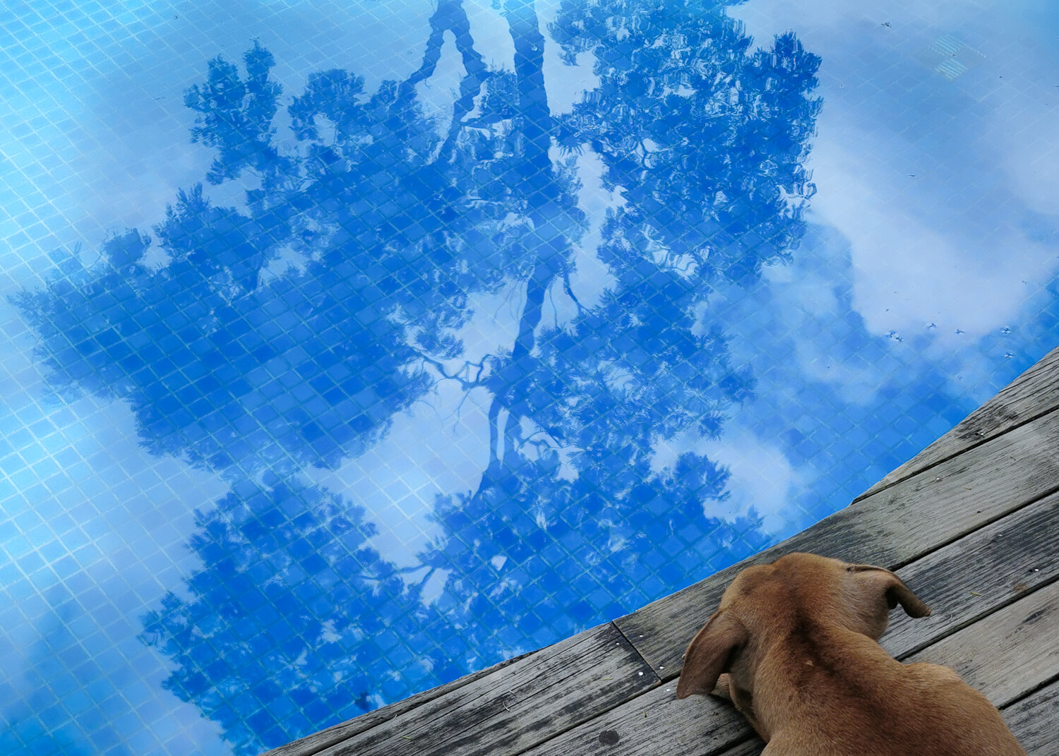 Photo #14153344