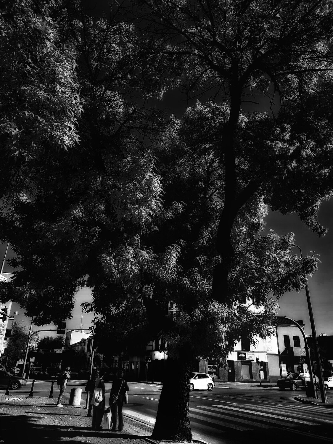 Photo #14153422