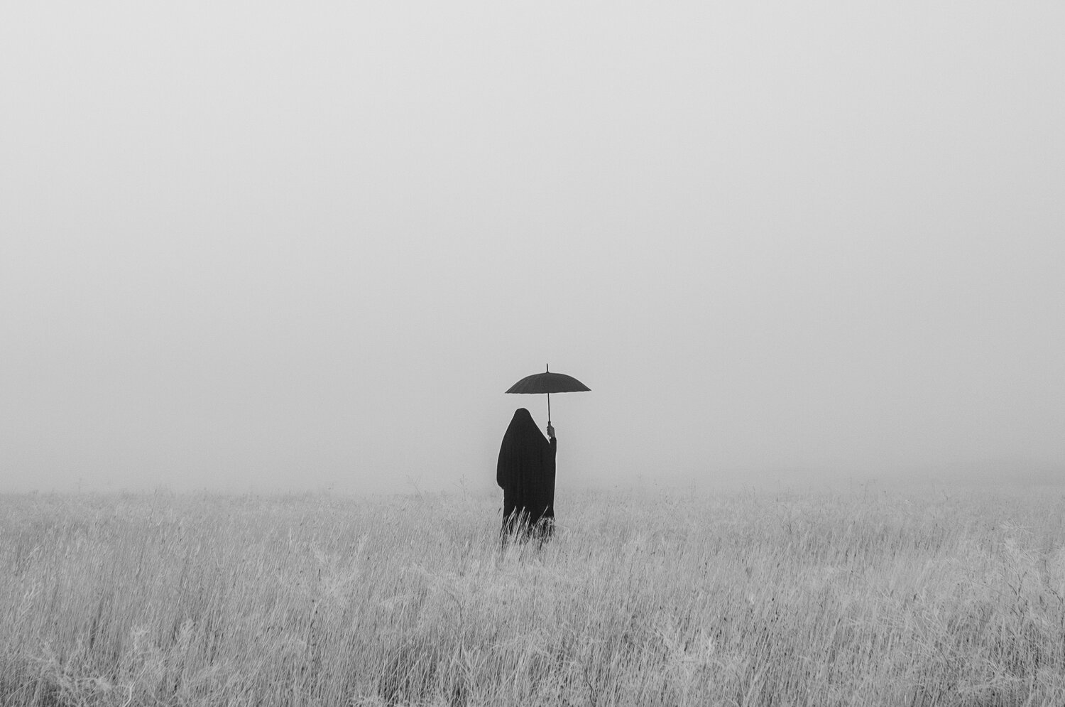 Alone in the Mist