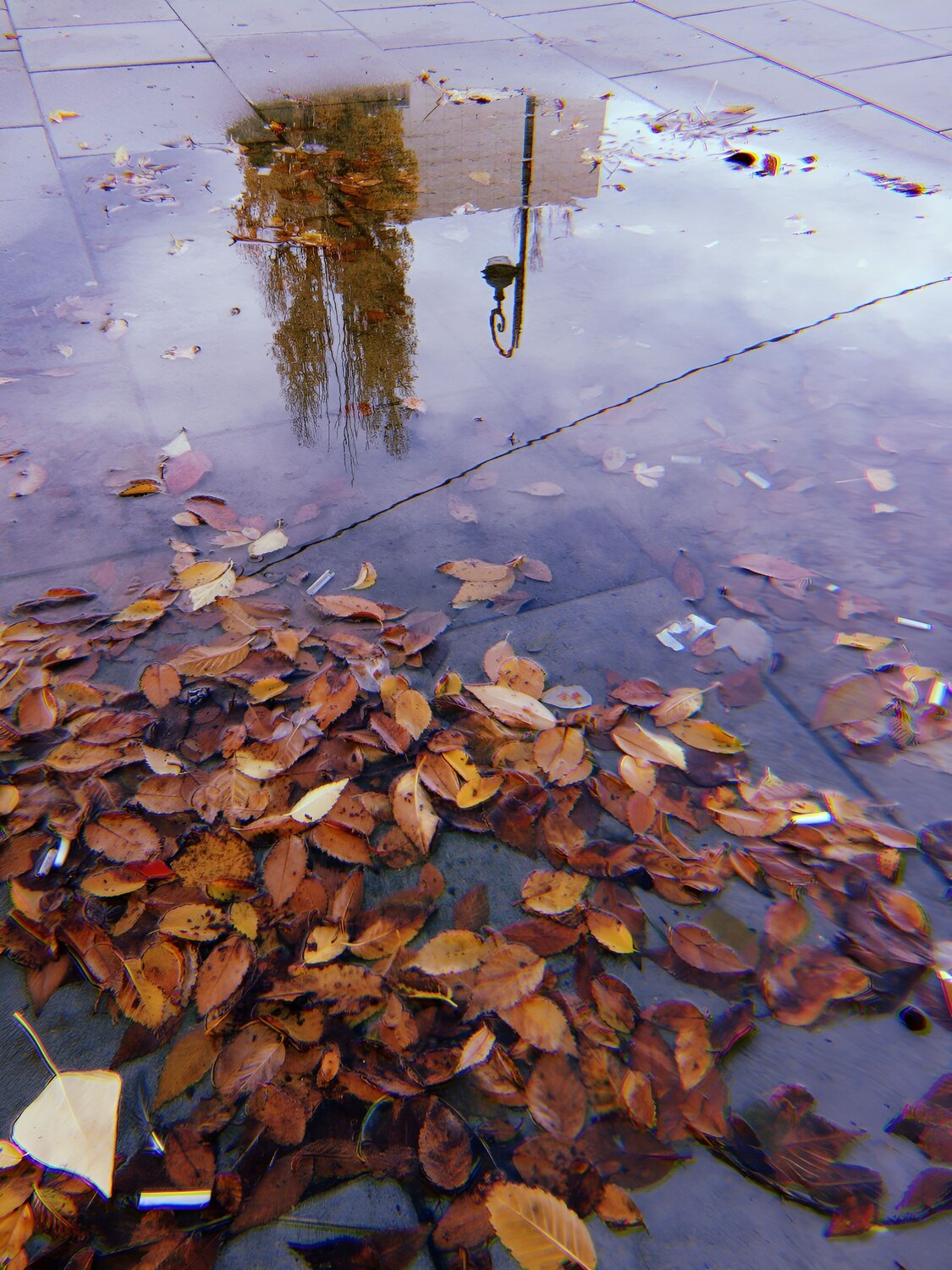 Photo #14153795