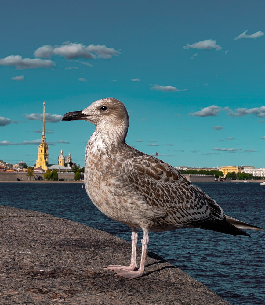 Photograph by Дайана