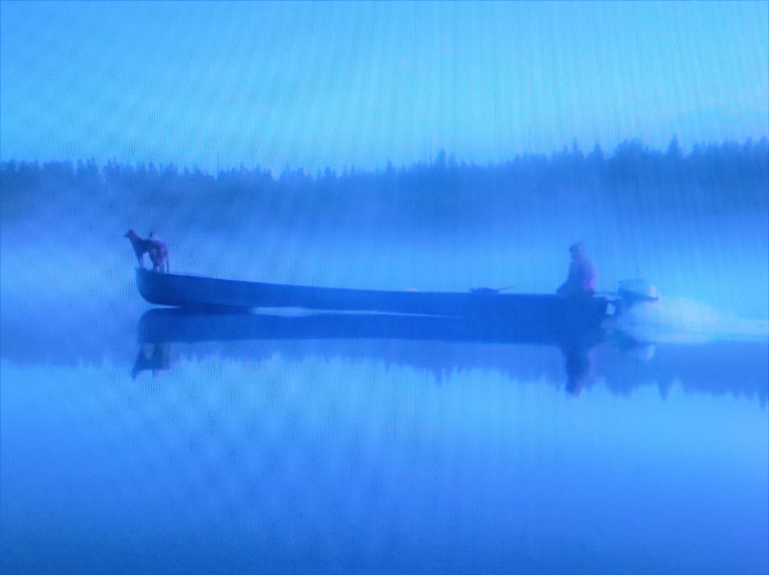 Photo #14154157