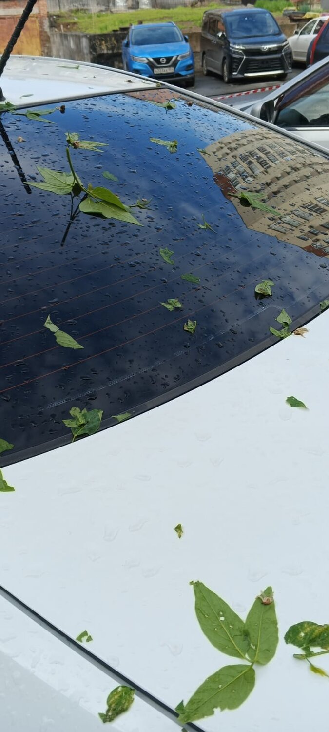Photo #14154207