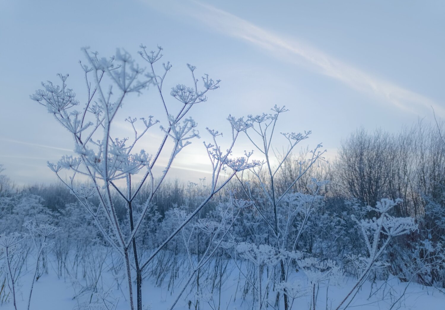 Photo #14154218