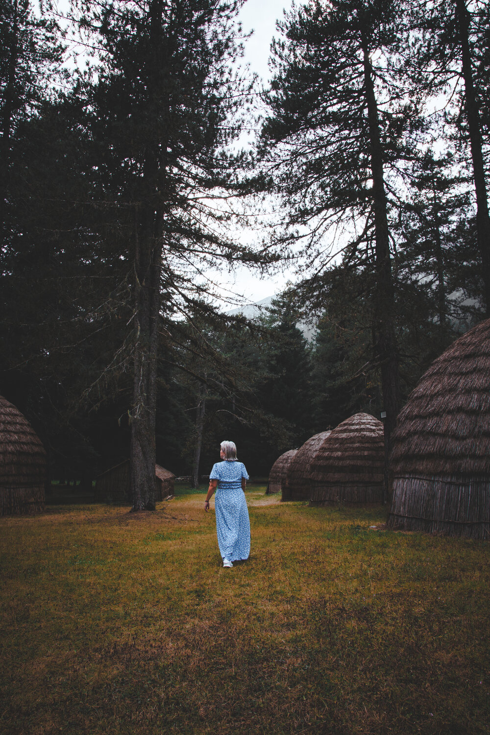 Photo #14154328