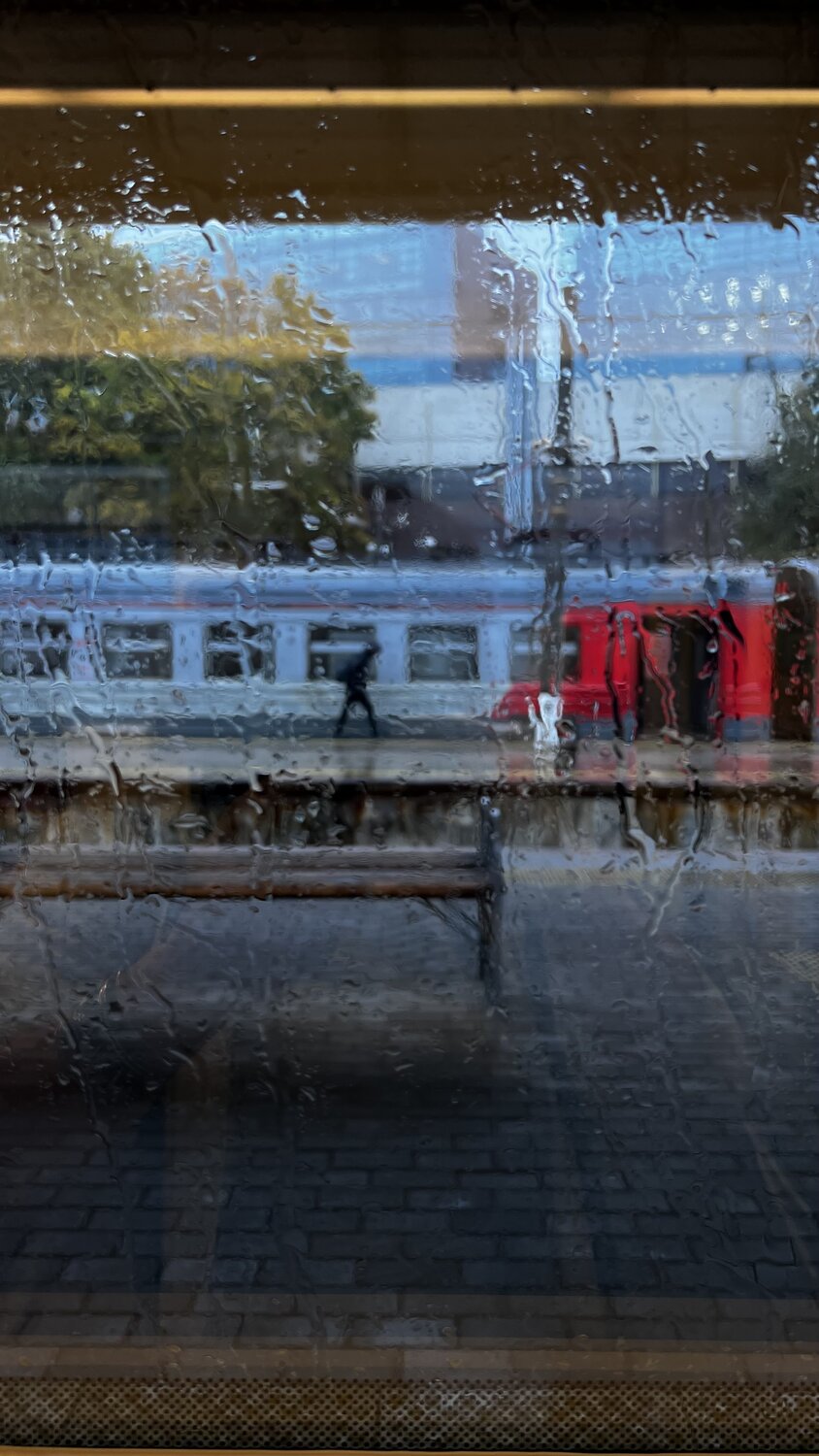 Photo #14154352