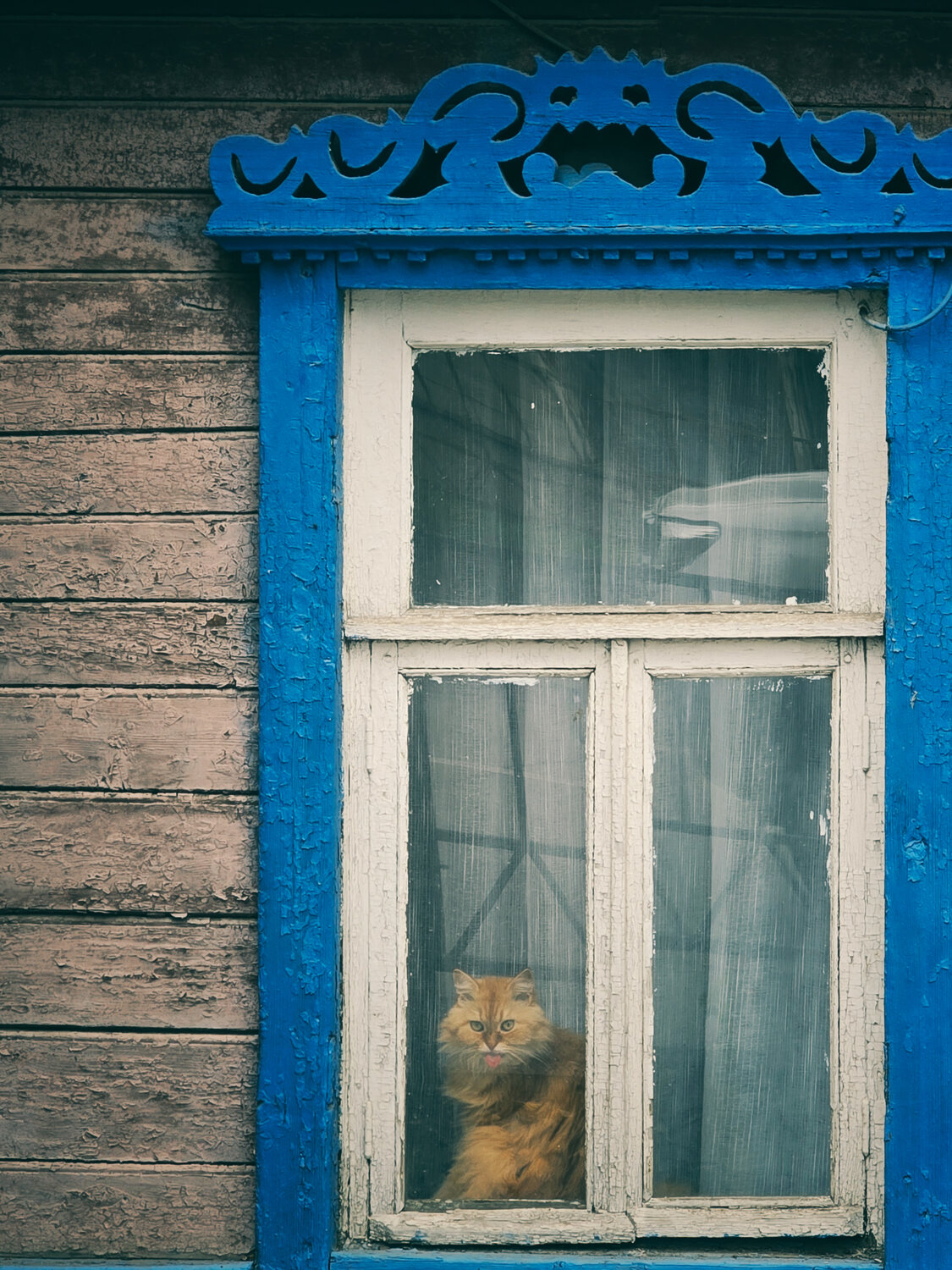 Photo #14154359