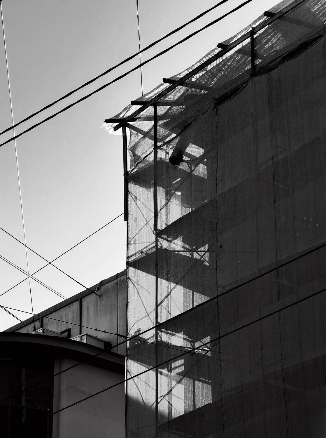 Photo #14154408