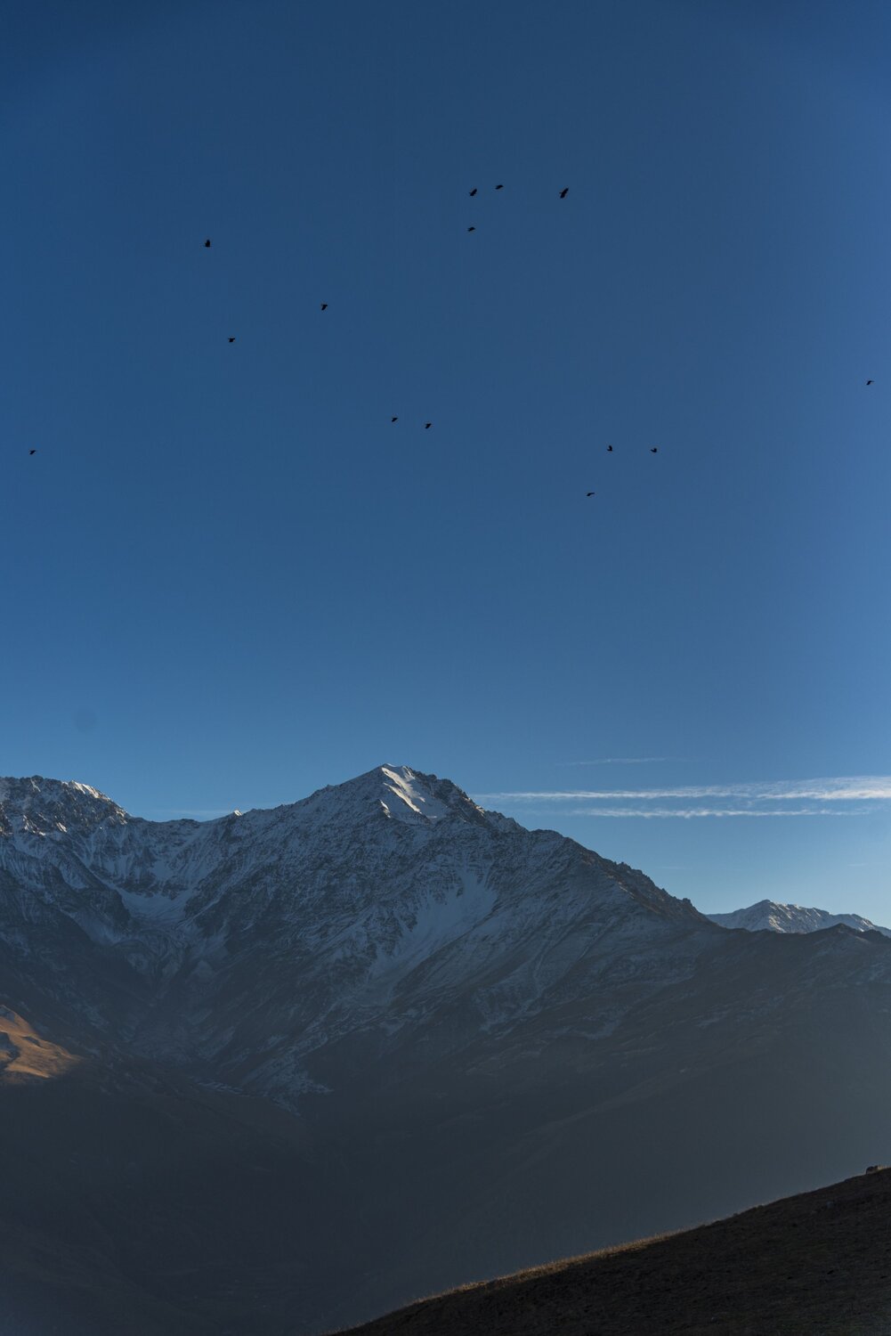 Photo #14154498