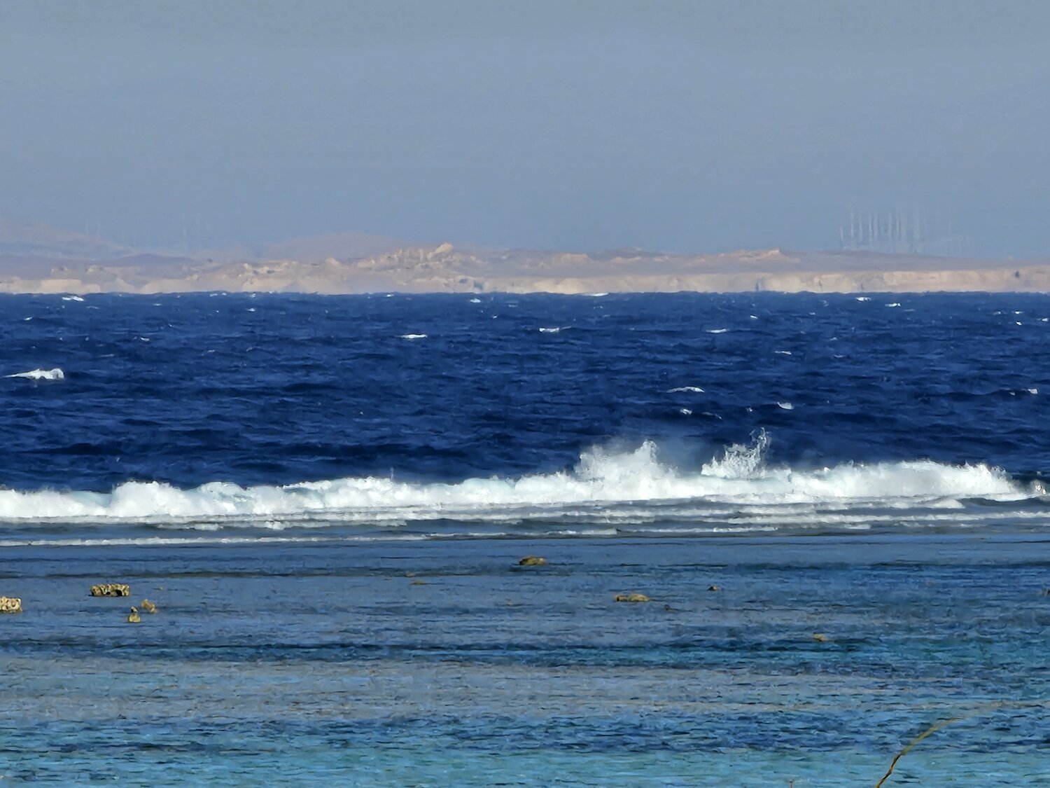 Photo #14154642