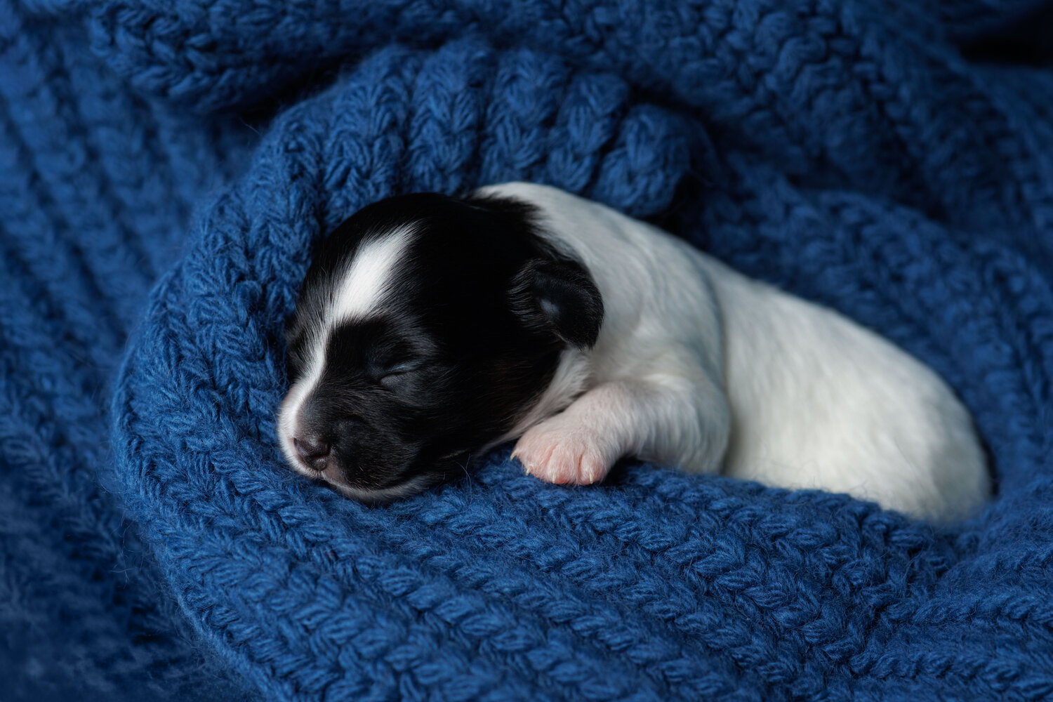 Photo #14154714