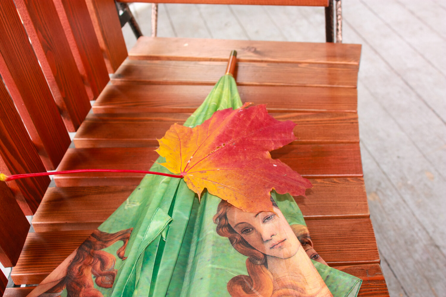 Photo #14154727
