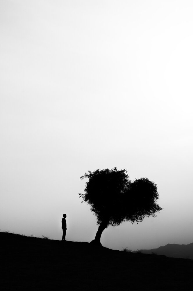LOVE TREE