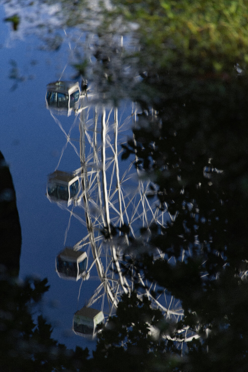 Photo #14154966