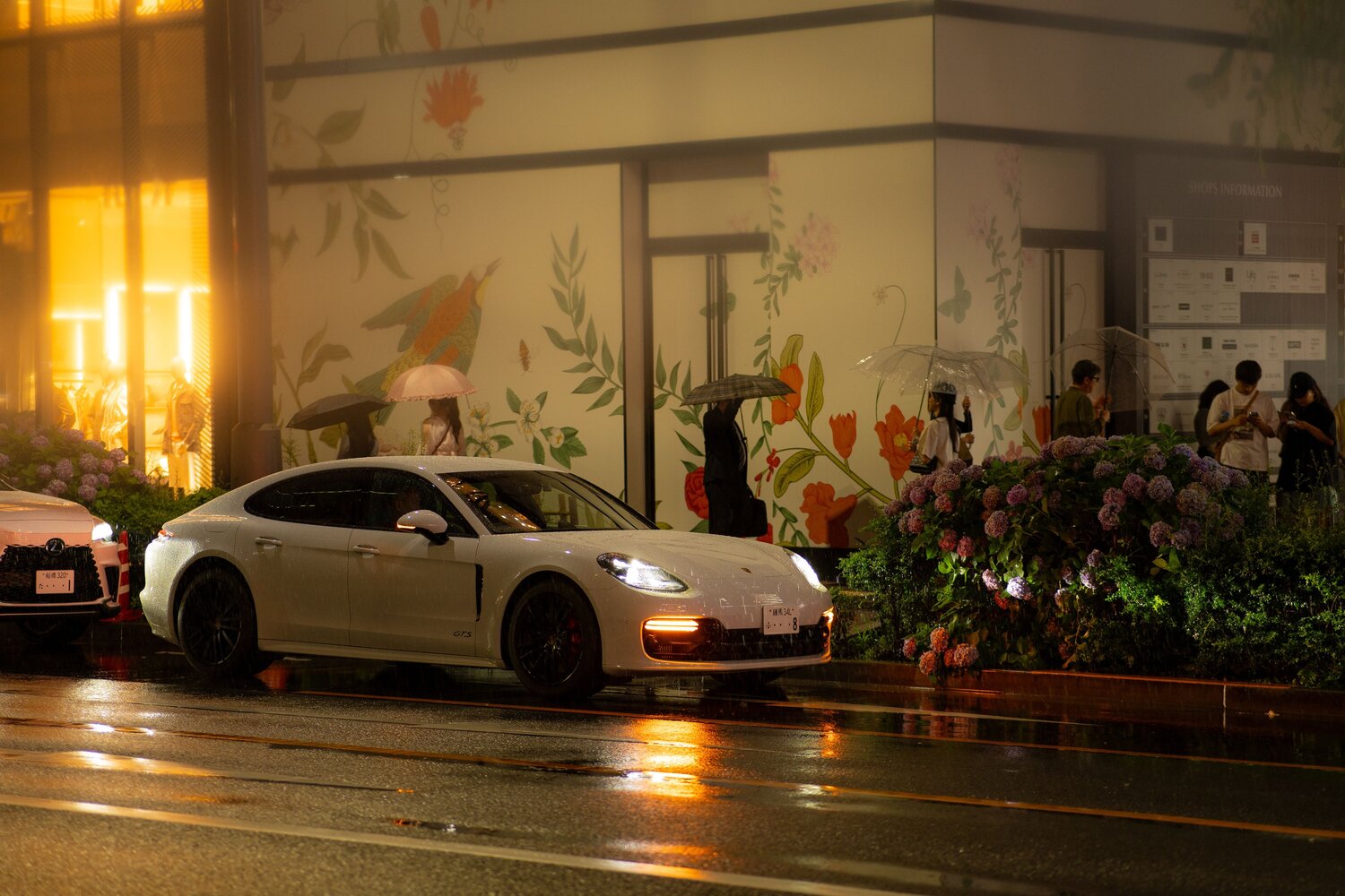 Photo #14155039
